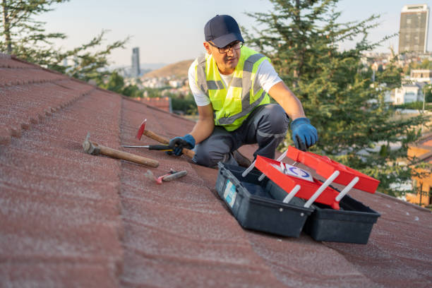 Best Historical Building Siding Restoration  in South Euclid, OH